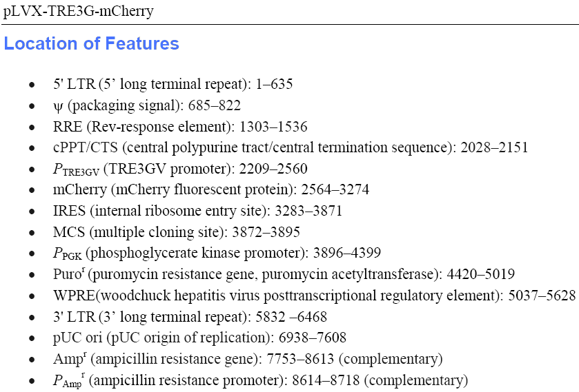 pLVX-TRE3G-mCherry载体特征