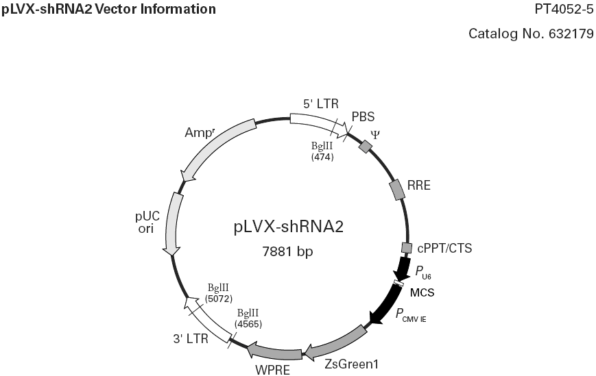 pLVX-shRNA2載體圖譜