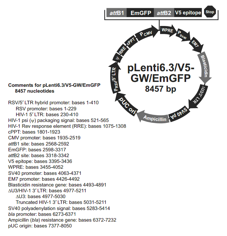 pLenti6.3-V5-GW-EmGFP载体图谱