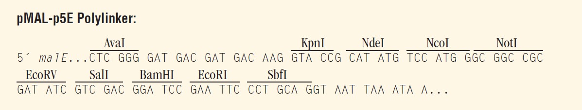 pMAL-p5e多克隆位点