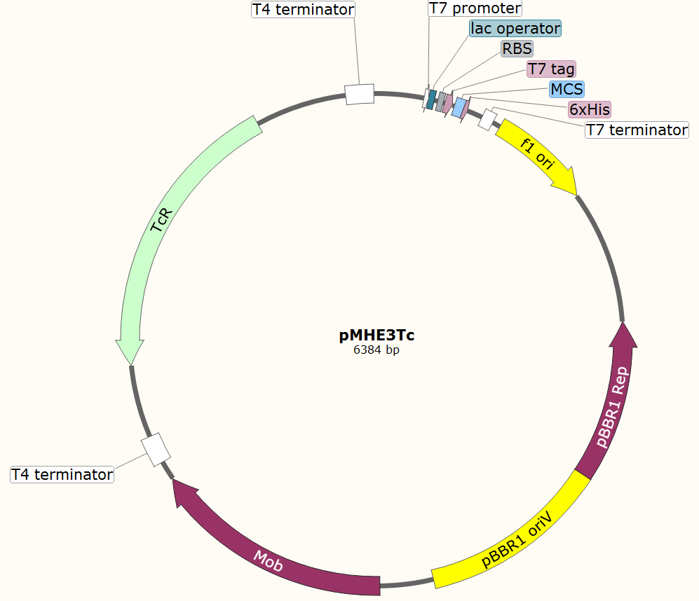 pMHE3Tc载体图谱