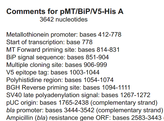 pMT-BiP-V5-HisA 载体特征