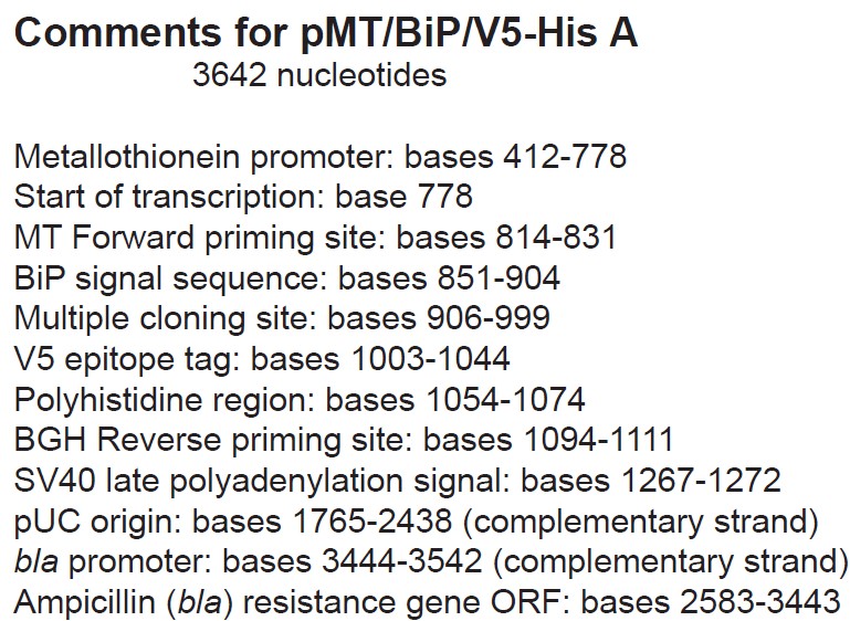 pMT-Bip-V5-HisA载体特征