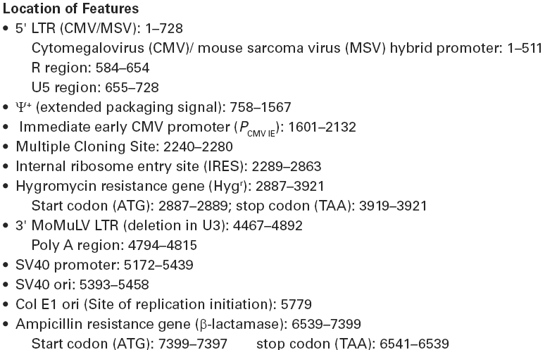 RNAi-Ready pSIREN-RetroQ载体特征