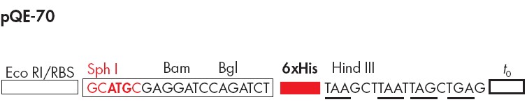 pQE-70多克隆位点