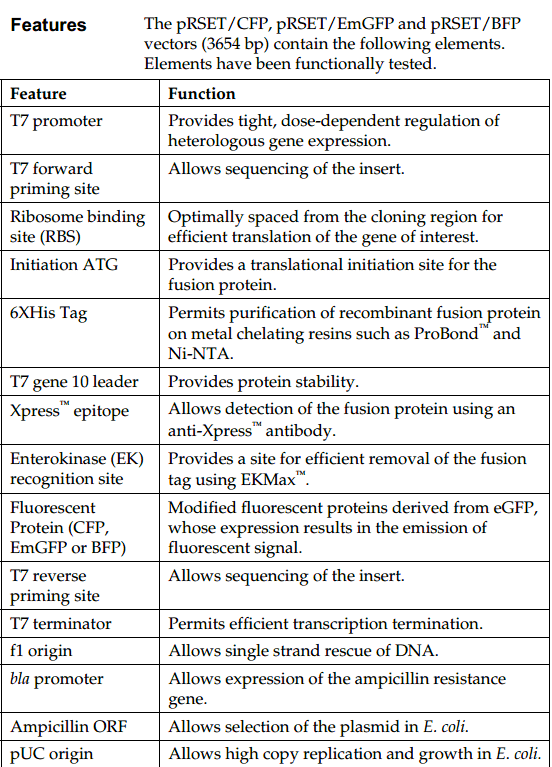 pRSET-CFP