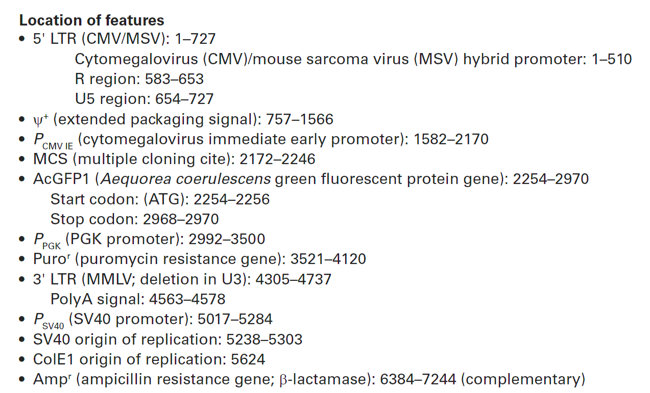pRetroQ-AcGFP1-N1載體特征