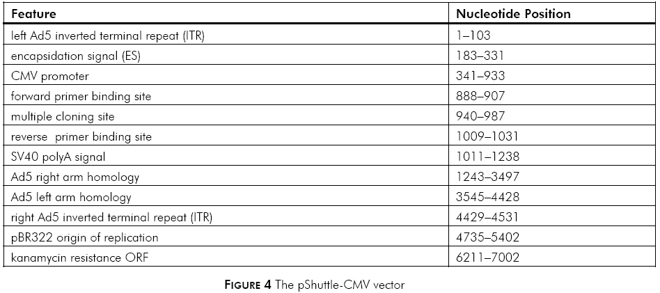 pShuttle-CMV载体特征