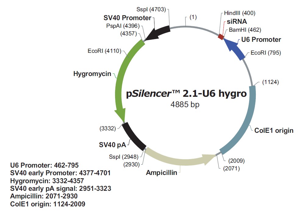 pSilencer 2.1-U6 hygro载体图谱