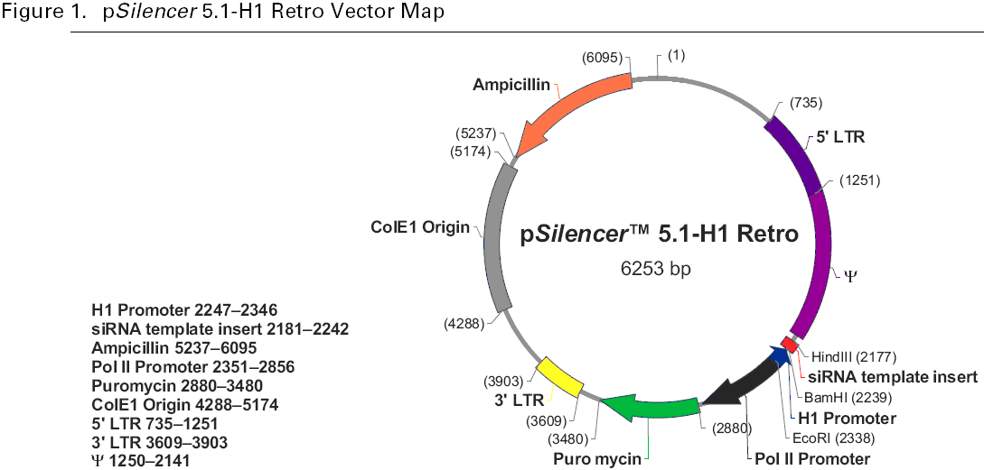 pSilencer5.1-H1 Retro载体图谱