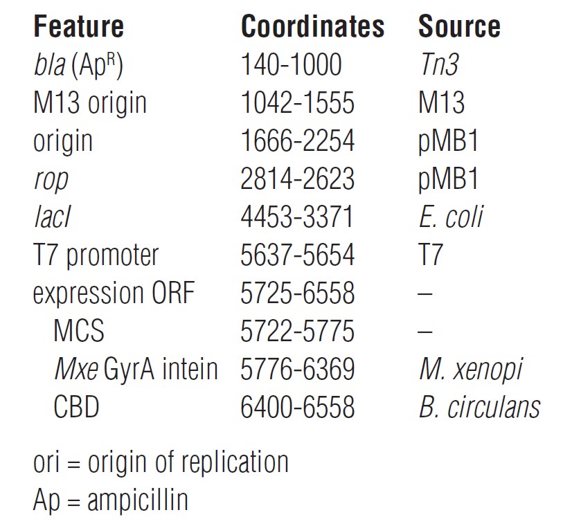 pTXB1载体特征