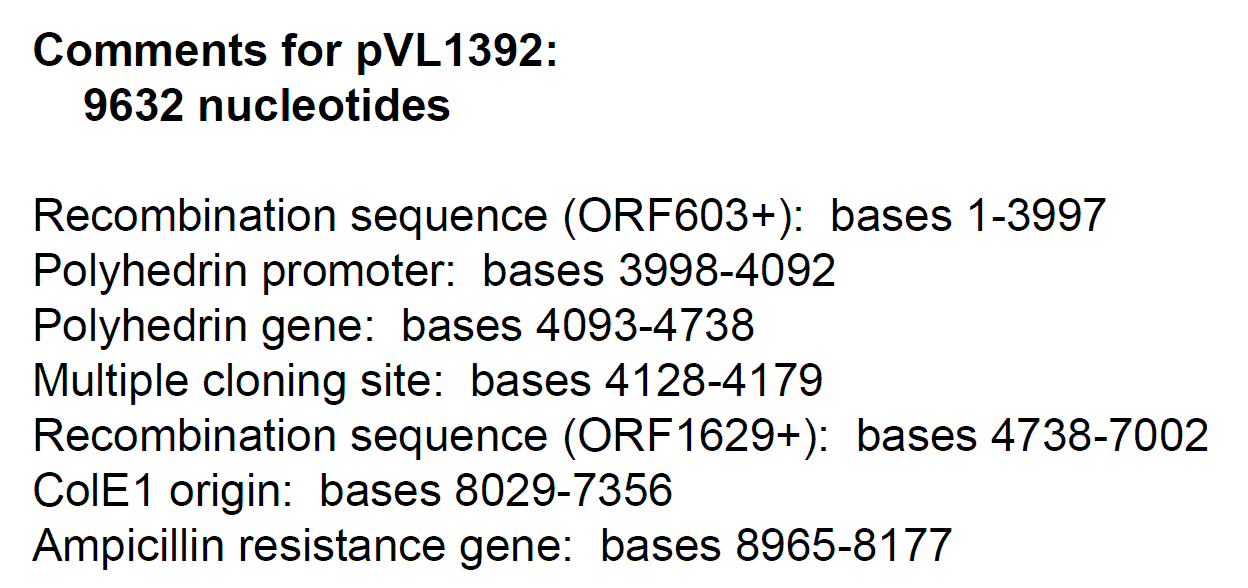 pVL1392 载体特征