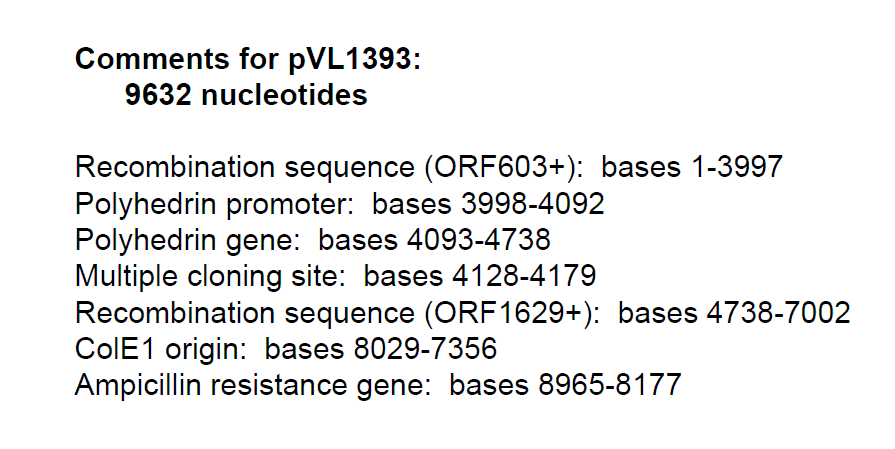 pVL1393 载体特征