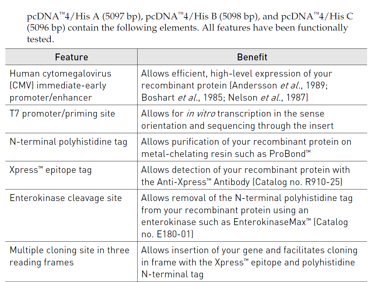 pcDNA4-His 1