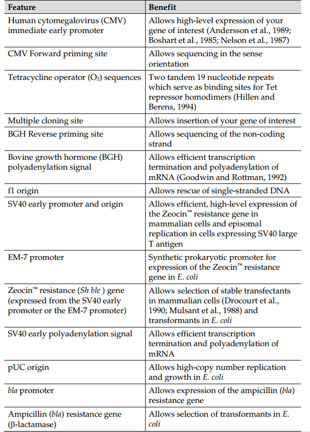 pcDNA4-TO 