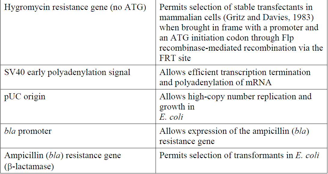 pcDNA5-FRT-TO-TOPO 载体特征2