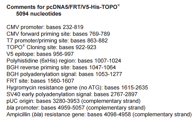 pcDNA5-FRT-V5-His-TOPO特征位点