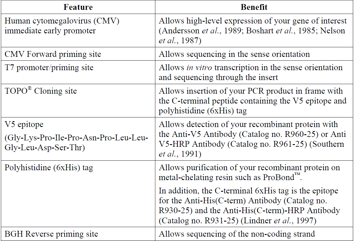 pcDNA5-FRT-V5-His-TOPO 载体特征1