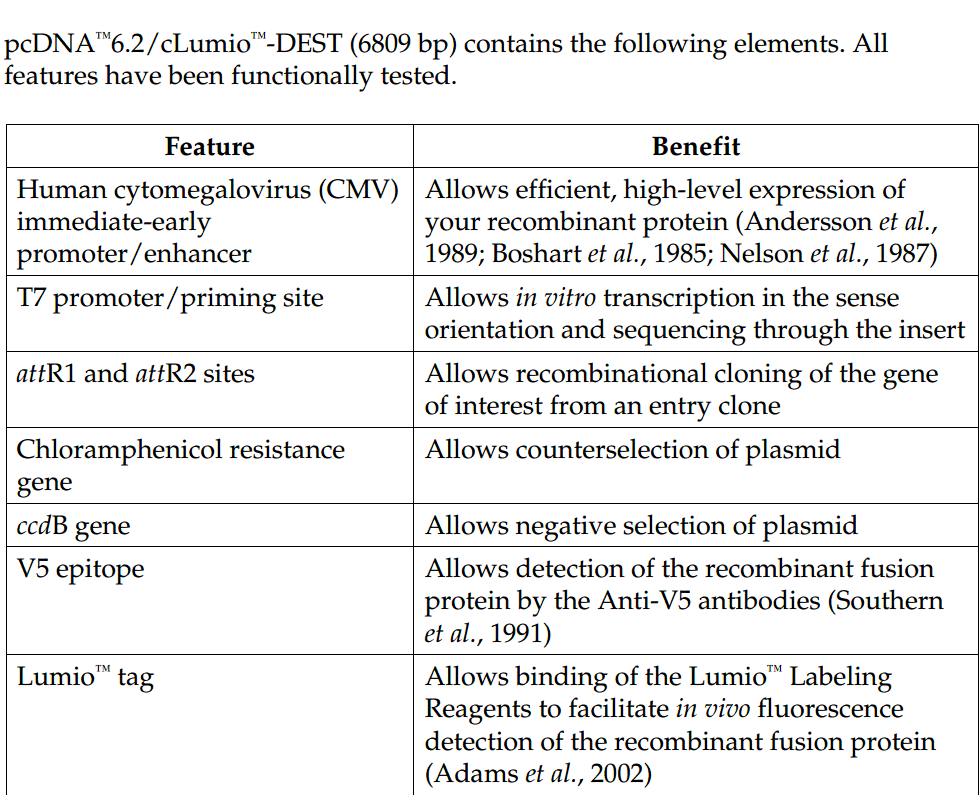 pcDNA6.2-cLumio-DEST 载体特征1