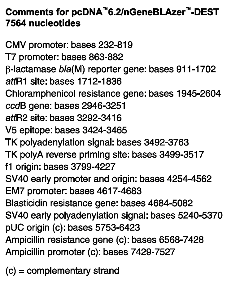 pcDNA6.2-nGeneBLAzer-DEST λ