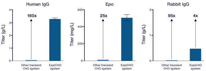 ExpiCHO-S细胞实验流程图