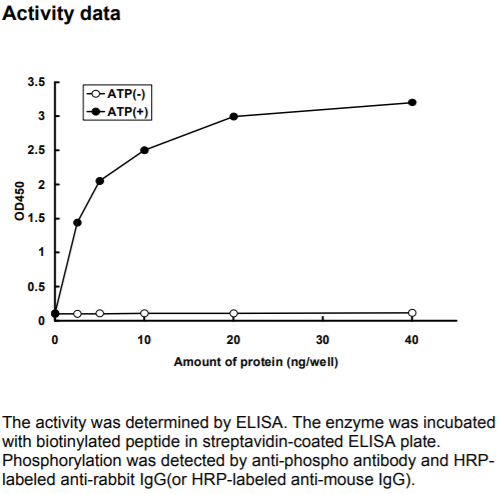 CDK8/CycC激酶活力