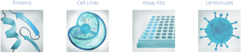 BPSbioscience公司产品和服务 BPSbioscience公司产品服务