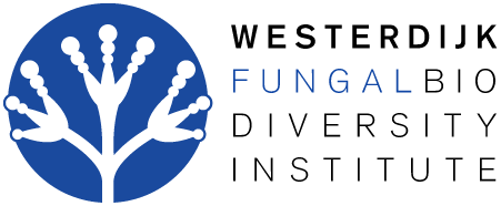 CBS菌种细胞购买进口 CBS菌种中国代理代购购买