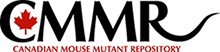 CMMR小鼠胚胎细胞精子进口 CMMR小鼠中国代理代购购买