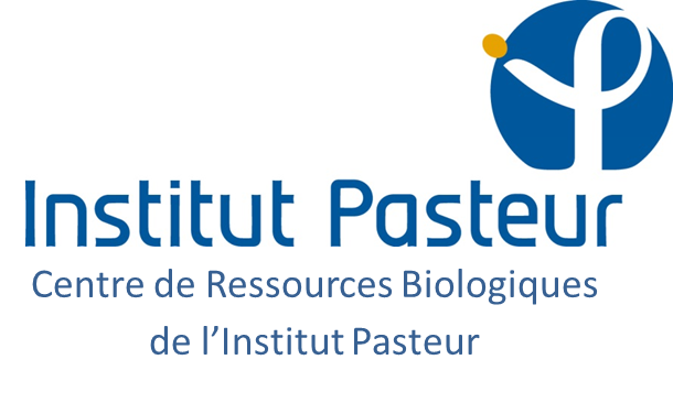 CIP菌种细胞购买进口 CIP菌种中国代理代购购买