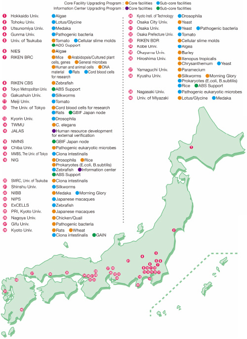 NBRP菌种购买进口 NBRP菌株中国代理代购购买