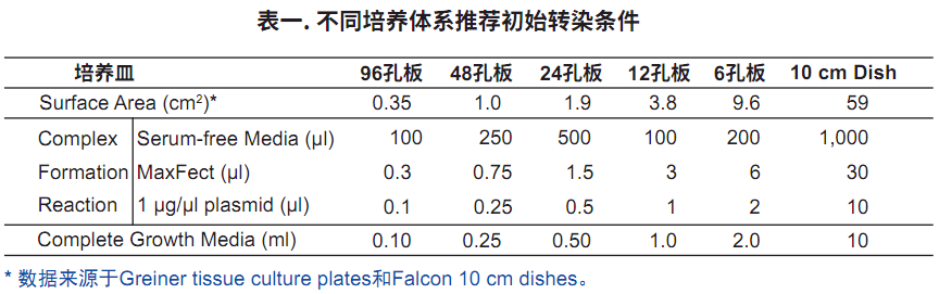 PEI质粒转染体系