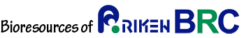 Riken细胞购买进口 Riken小鼠中国代理代购购买