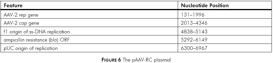 pAAV-RC载体特征