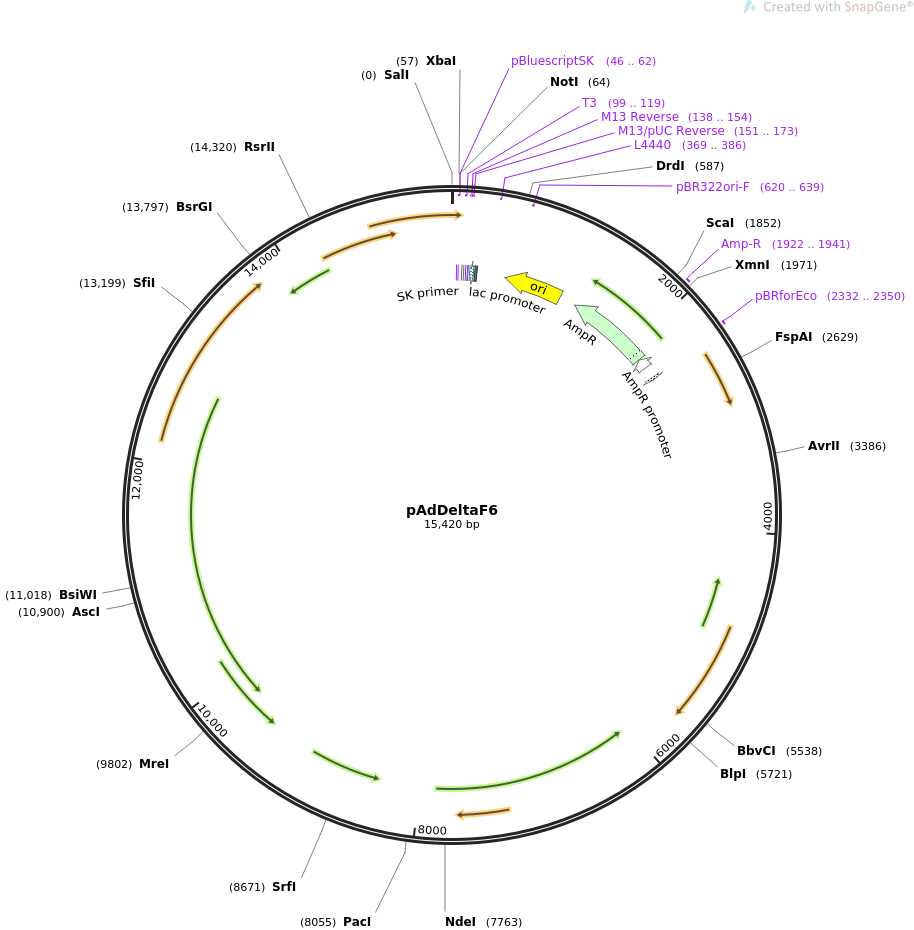 pAdDeltaF6