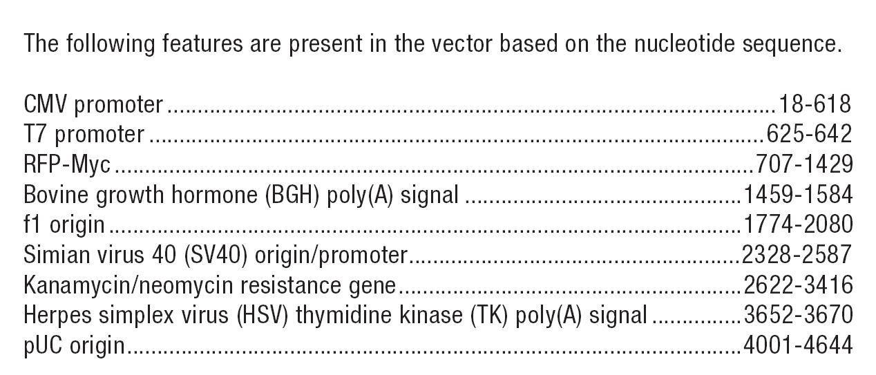 pCMV-RFP-C-Myc载体特征