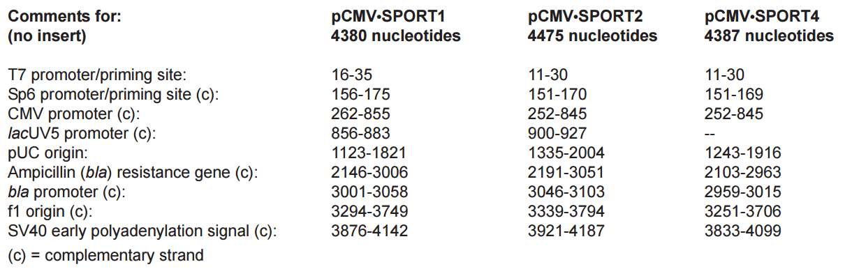 pCMV-SPORT1载体特征