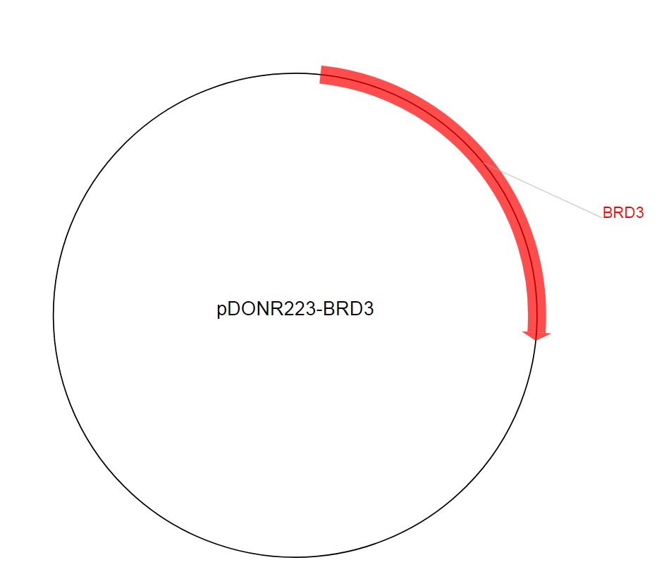 pDONR223-BRD3质粒图谱