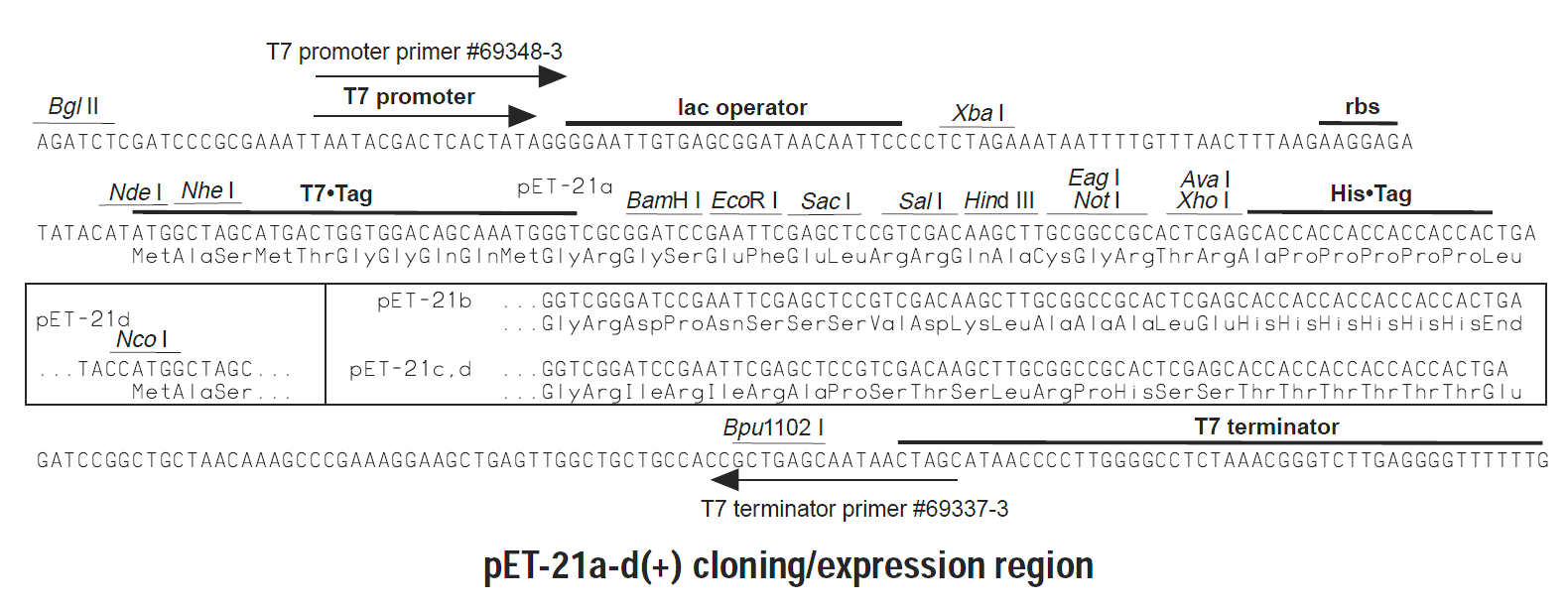 pET-21c载体多克隆位点 点击看大图 pET-21c多克隆位点