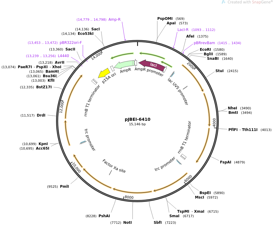 pJBEI-6410质粒图谱
