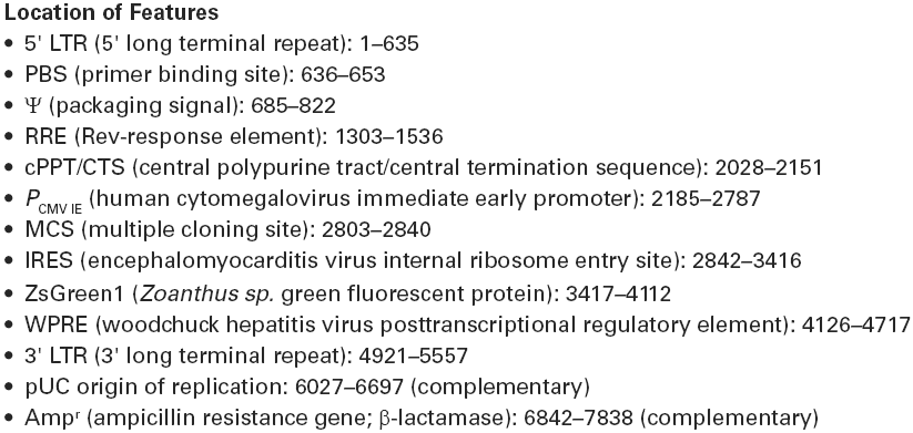 pLVX-IRES-ZsGreen1载体特征