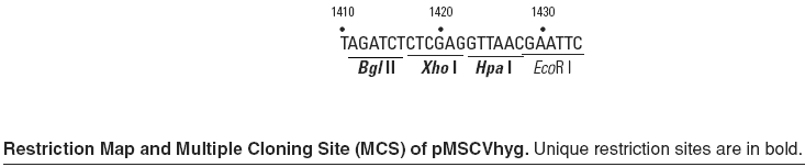 pMSCVhyg多克隆位点
