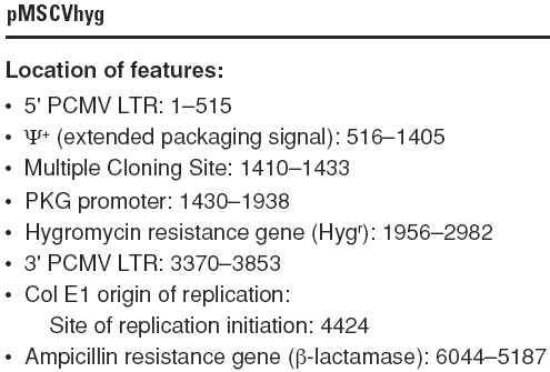RNAi-Ready pSIREN-RetroQ载体特征