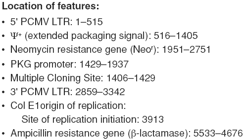 RNAi-Ready pSIREN-RetroQ载体特征