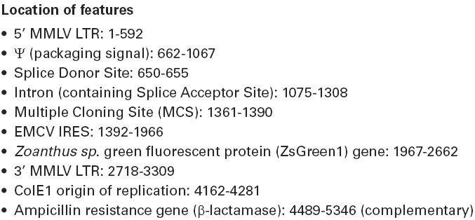 RNAi-Ready pSIREN-RetroQ载体特征