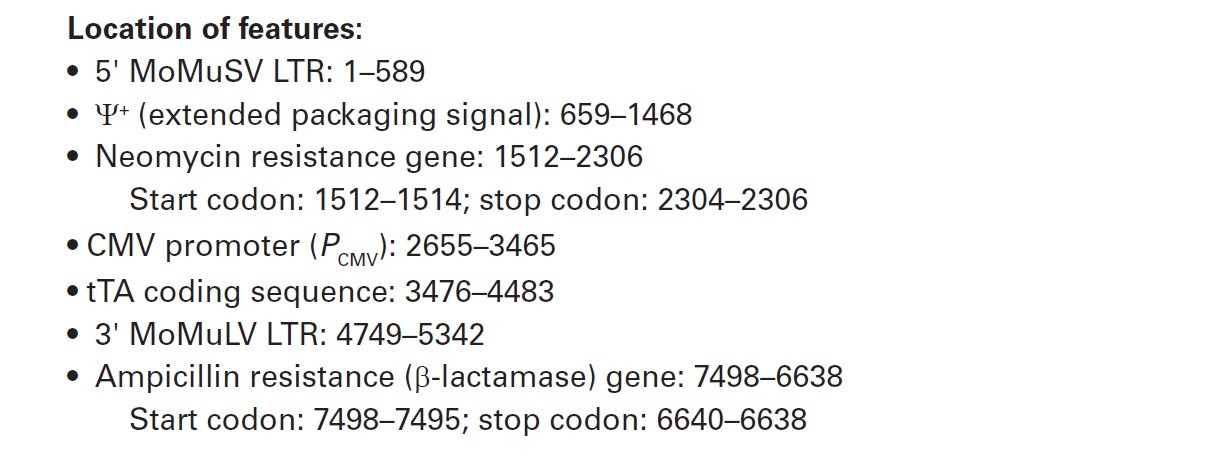 pRevTet-Off载体特征