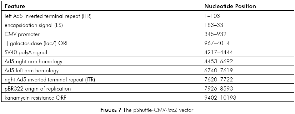 pShuttle-CMV-lacZ载体特征