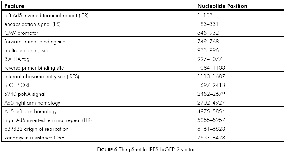pShuttle-IRES-hrGFP-2载体特征