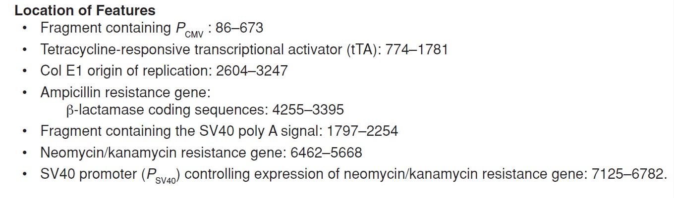 pTet-Off载体特征