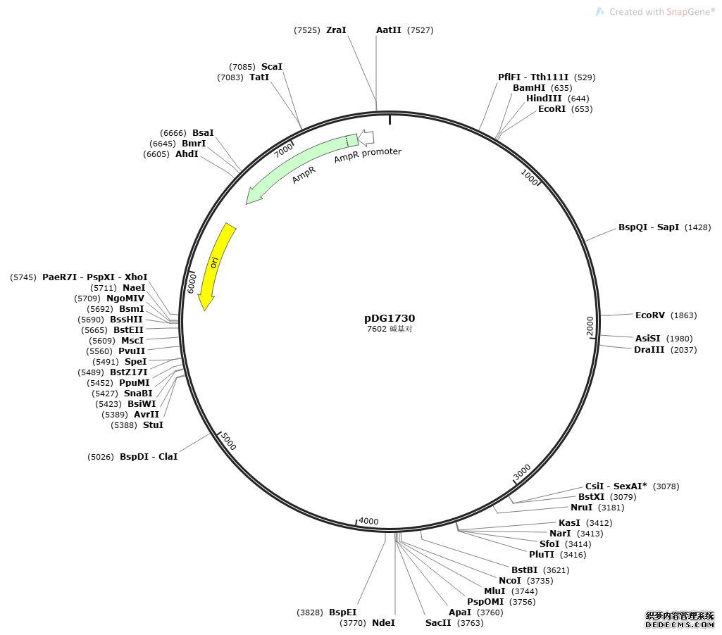 pDG1730����ͼ��